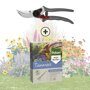 Vaste planten onderhoudspakket